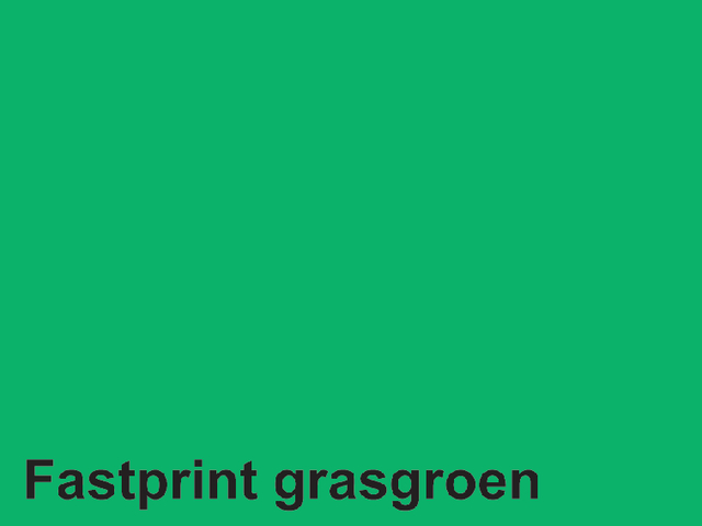 Kopieerpapier Quantore Colour A4 120gr grasgroen 250 vel