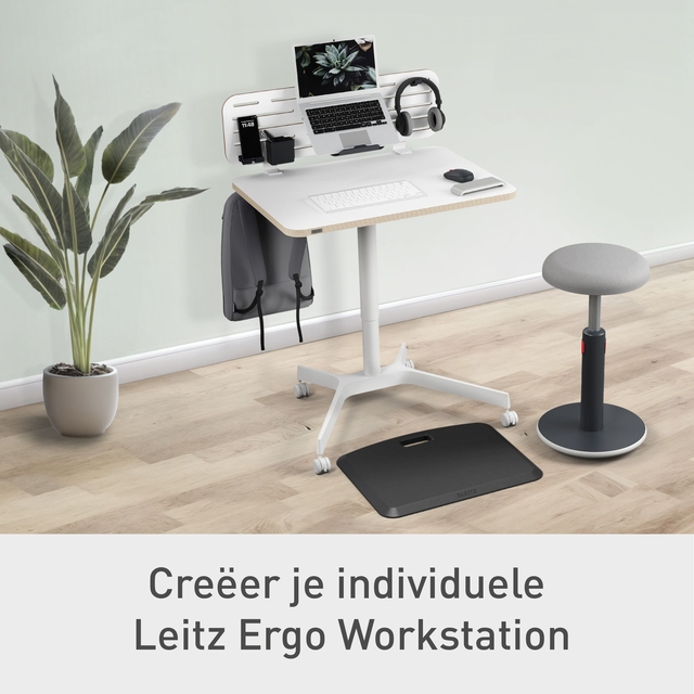 Zit-Sta bureau Leitz Ergo Klein