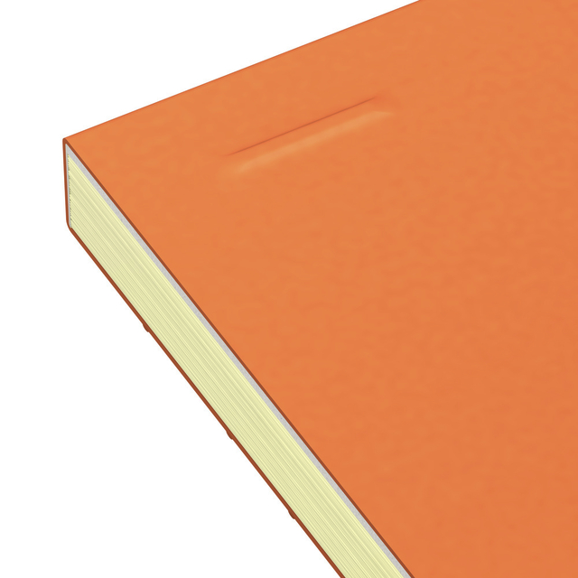 Cursusblok Oxford Orange Notepad A4+ lijn 4-gaats 160 pagina's 80gr oranje