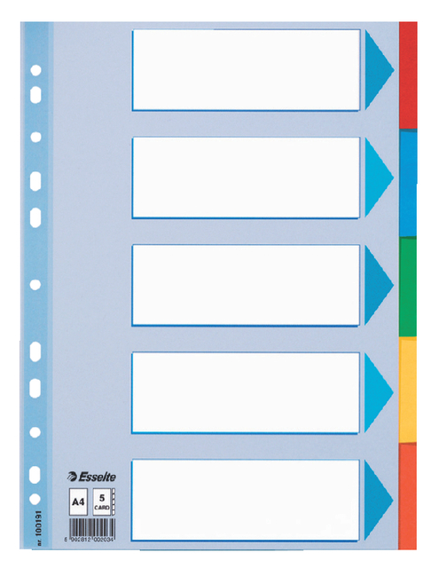 Tabbladen Esselte Standaard A4 5-delig karton 11-rings met voorblad assorti