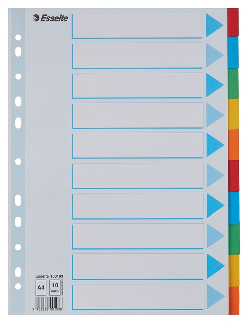 Tabbladen Esselte Standaard A4 10-delig karton 11-rings met voorblad assorti